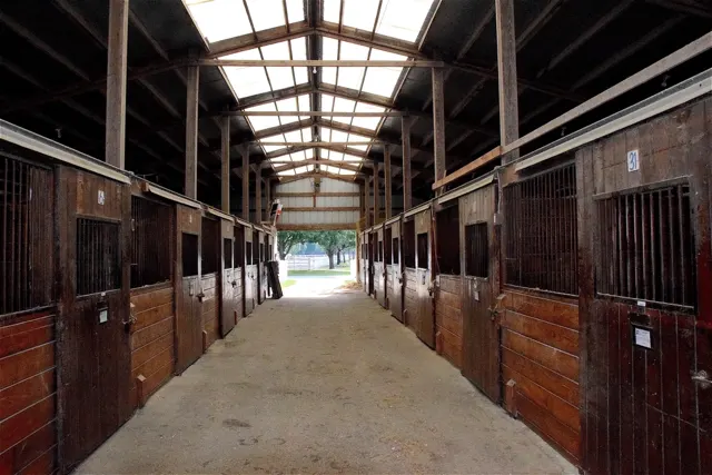 Stalgang met houten paardenboxen en lichtstraten in het dak