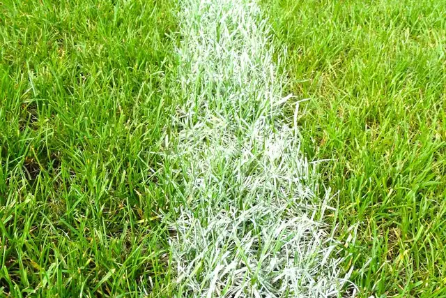 Witte lijn op een grasveld